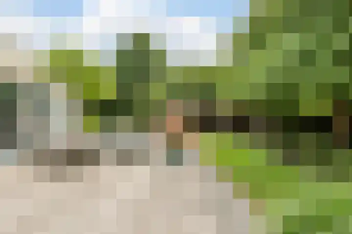 Hollandse Hout 70 Lelystad thumbnail 70