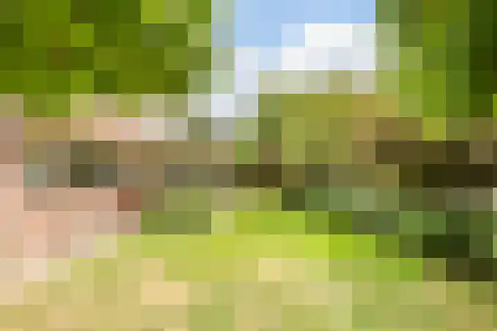 Hollandse Hout 70 Lelystad thumbnail 71