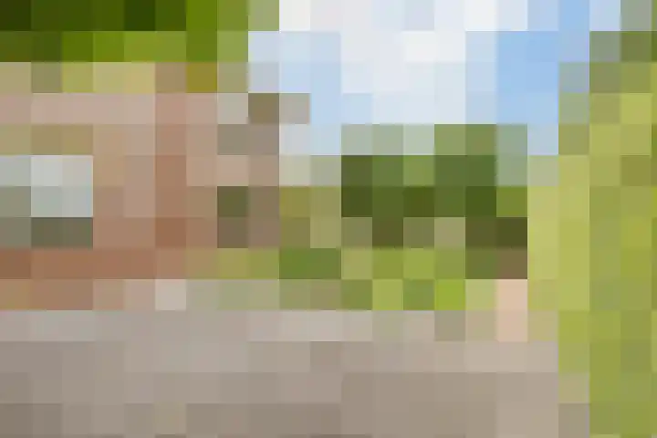 Hollandse Hout 70 Lelystad thumbnail 73