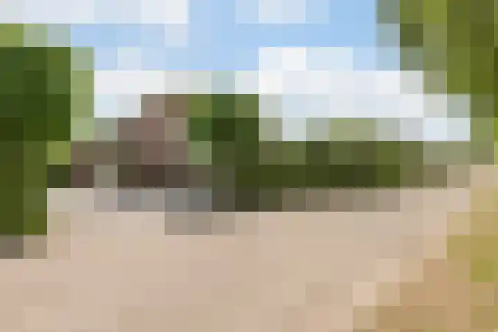 Hollandse Hout 70 Lelystad thumbnail 75