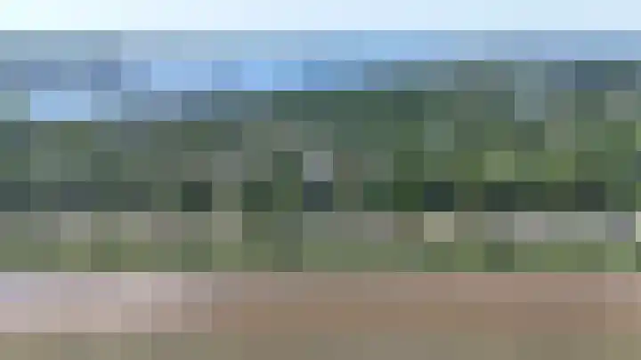 Hollandse Hout 70 Lelystad thumbnail 77