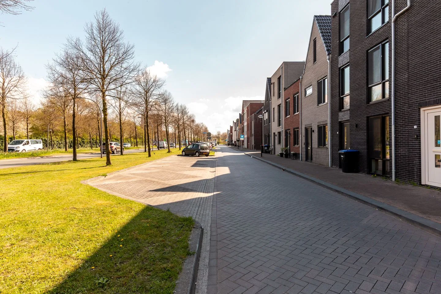 Hollandse linde 12 Lelystad thumbnail 27