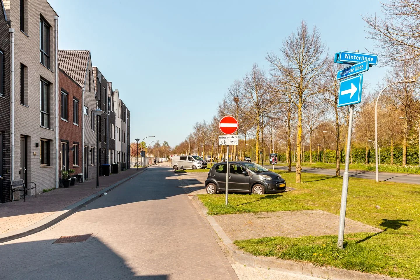Hollandse linde 12 Lelystad thumbnail 28