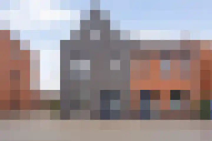 Hollandse linde 60 B Lelystad thumbnail 4