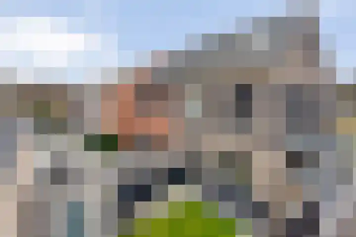 Hollandse linde 60 B Lelystad thumbnail 40