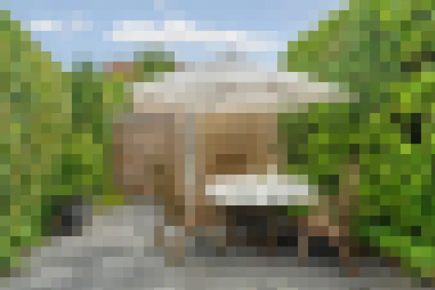 Hollandse Morgen 1 Westervoort thumbnail 30