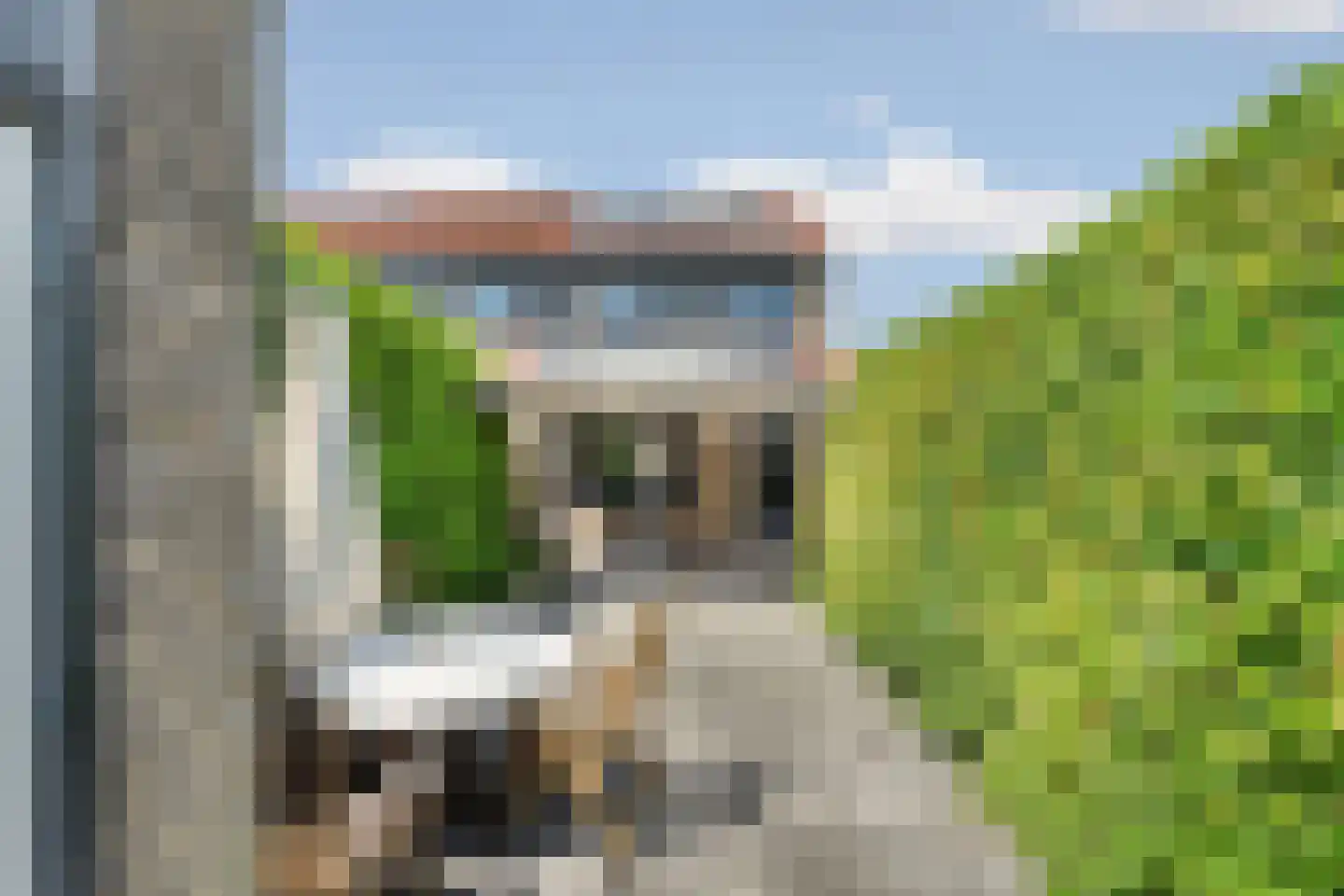 Hollandse Morgen 1 Westervoort thumbnail 4