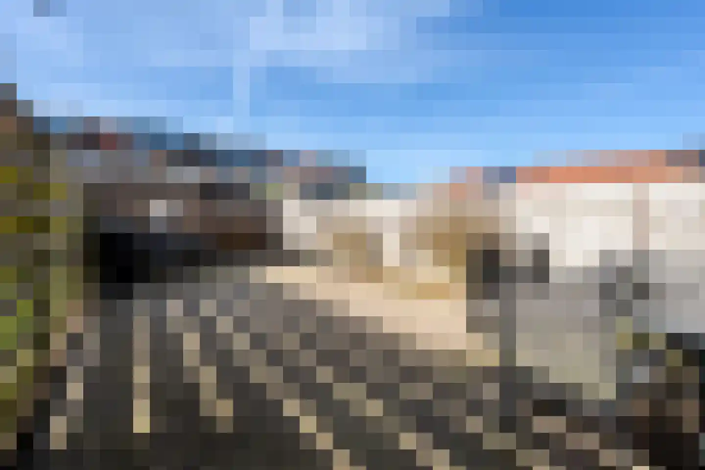 Hollandse Morgen 10 Westervoort thumbnail 29