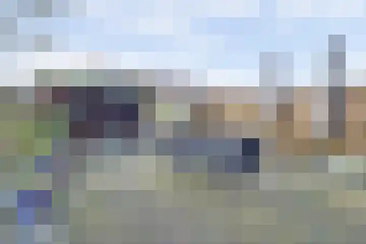 Hollandse Morgen 22 Westervoort thumbnail 31