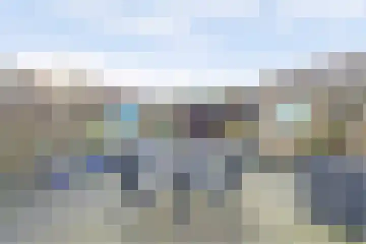 Hollandse Morgen 22 Westervoort thumbnail 32