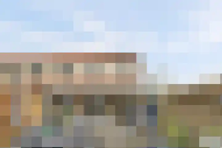 Hollandse Morgen 22 Westervoort thumbnail 33