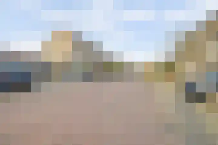 Hollandse Morgen 22 Westervoort thumbnail 34