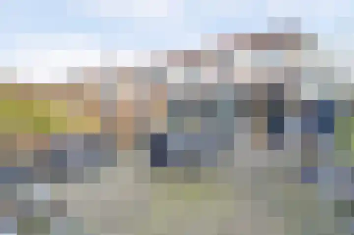 Hollandse Morgen 22 Westervoort thumbnail 4