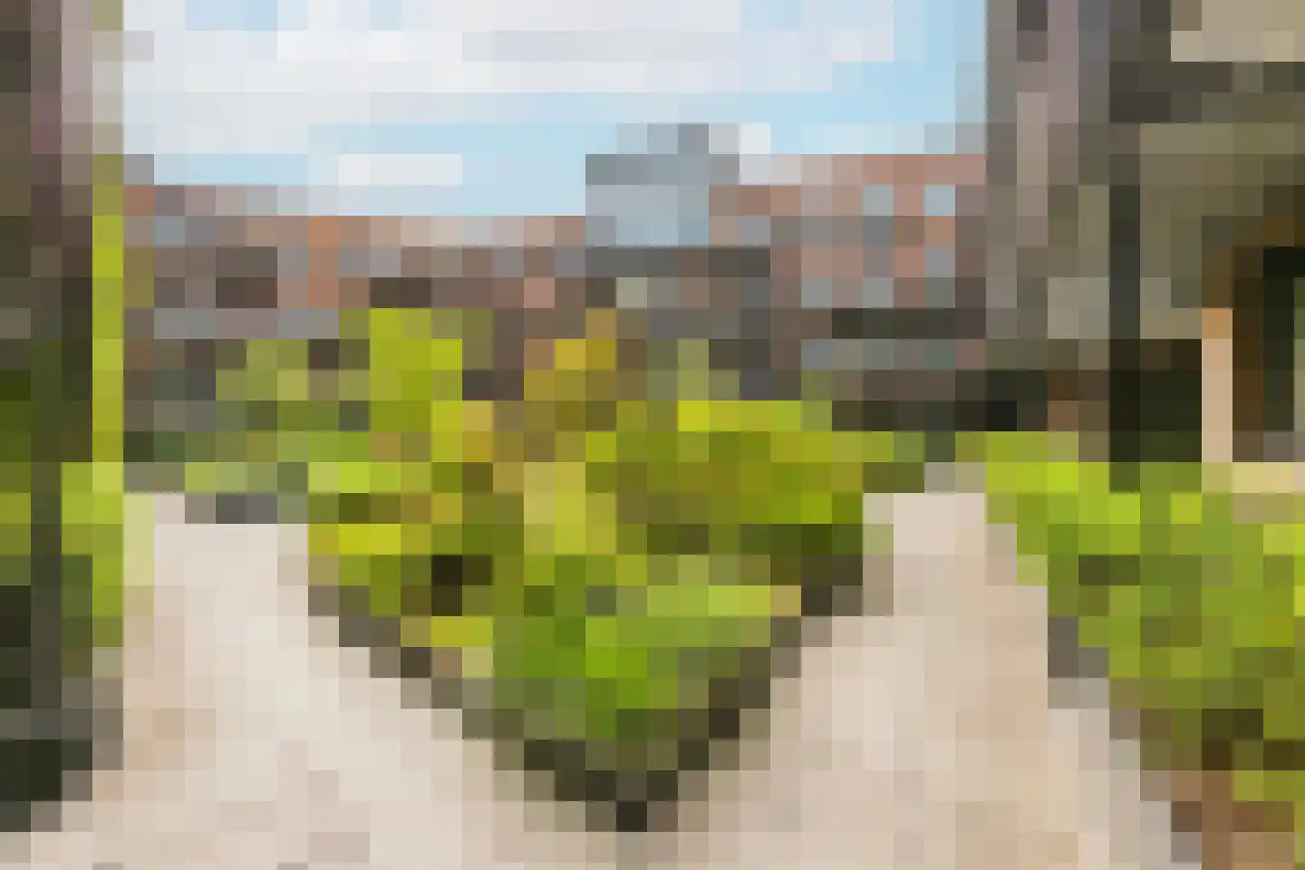 Hollandse Toren 27 Utrecht thumbnail 5