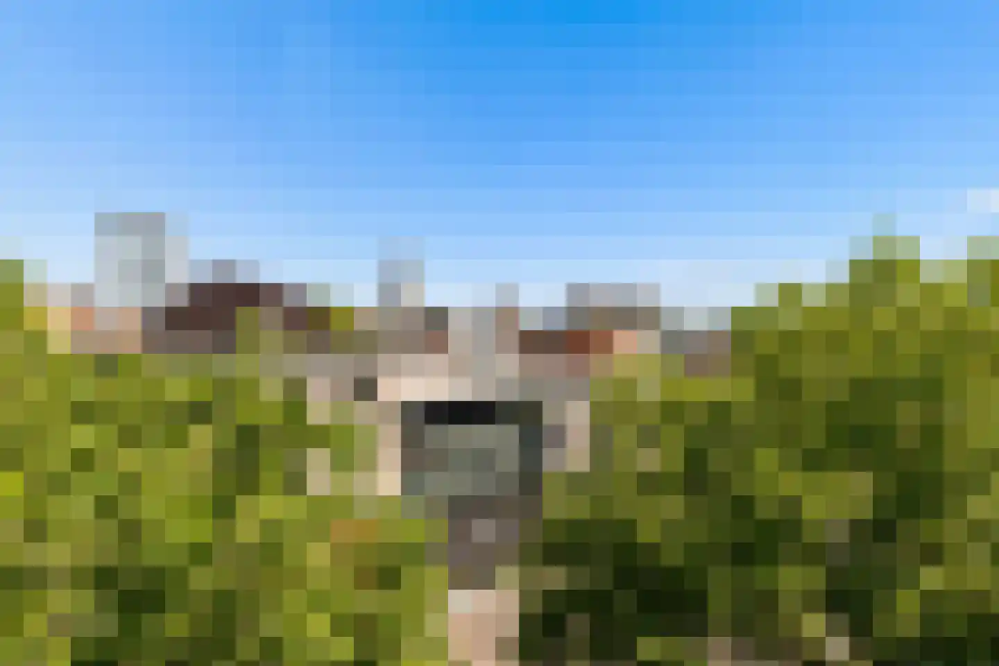 Hollandse Toren 47 Utrecht thumbnail 24