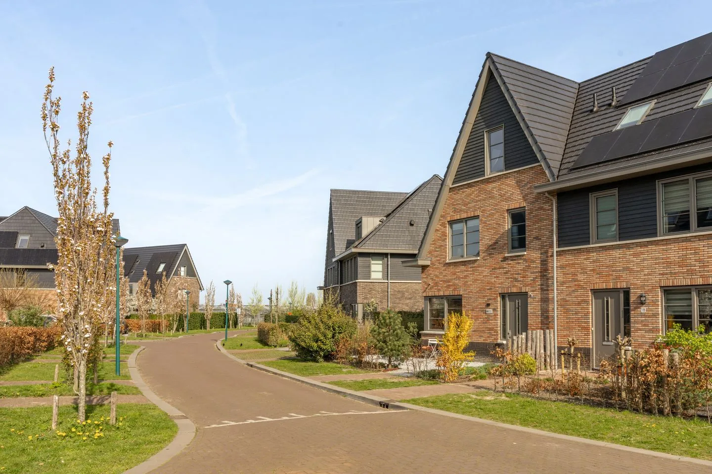 Hollandse Tuin 20 Oegstgeest thumbnail 8