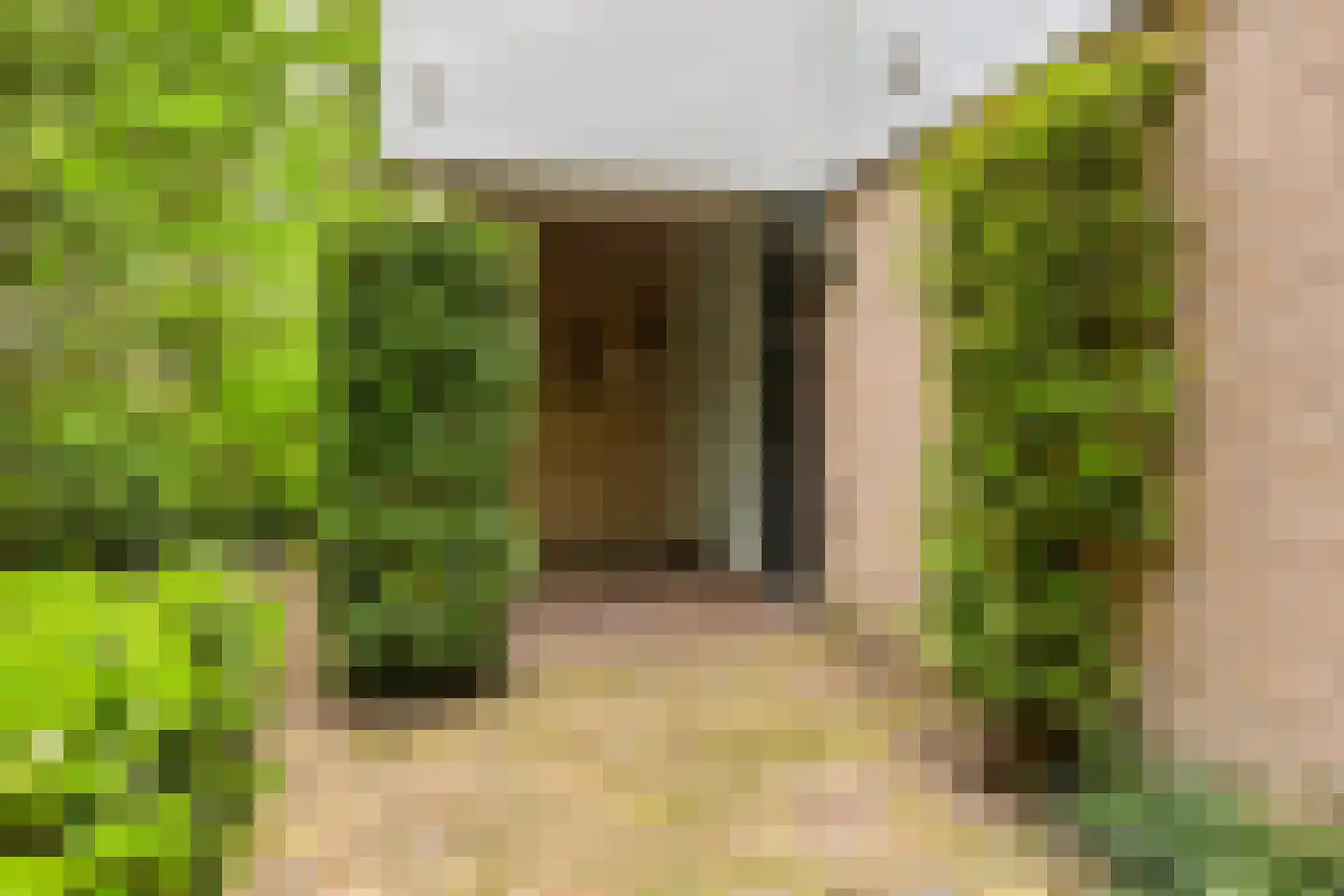 Hollandse Tuin 27 's Gravenmoer thumbnail 10