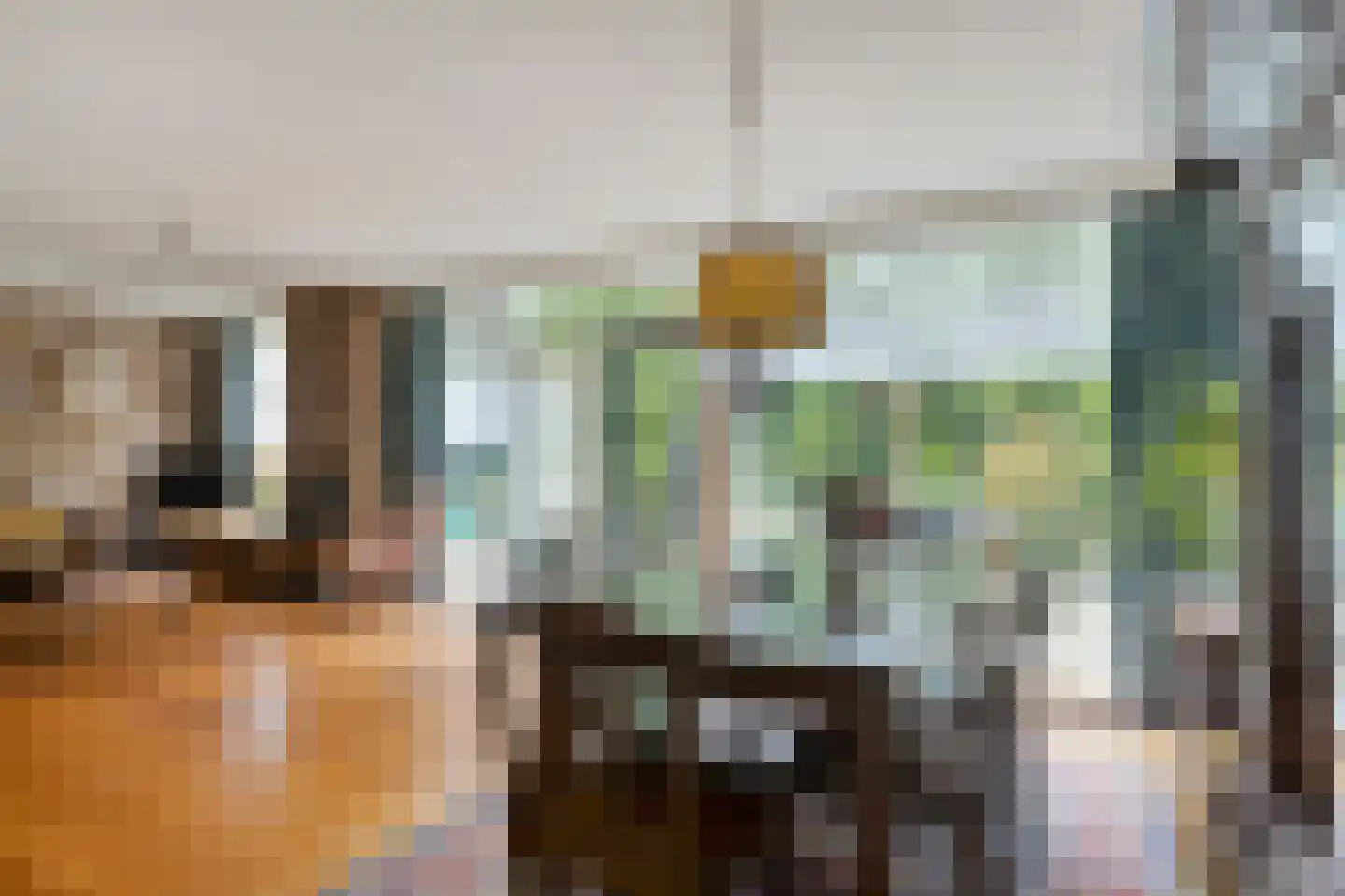 Hollandse Tuin 27 's Gravenmoer thumbnail 21
