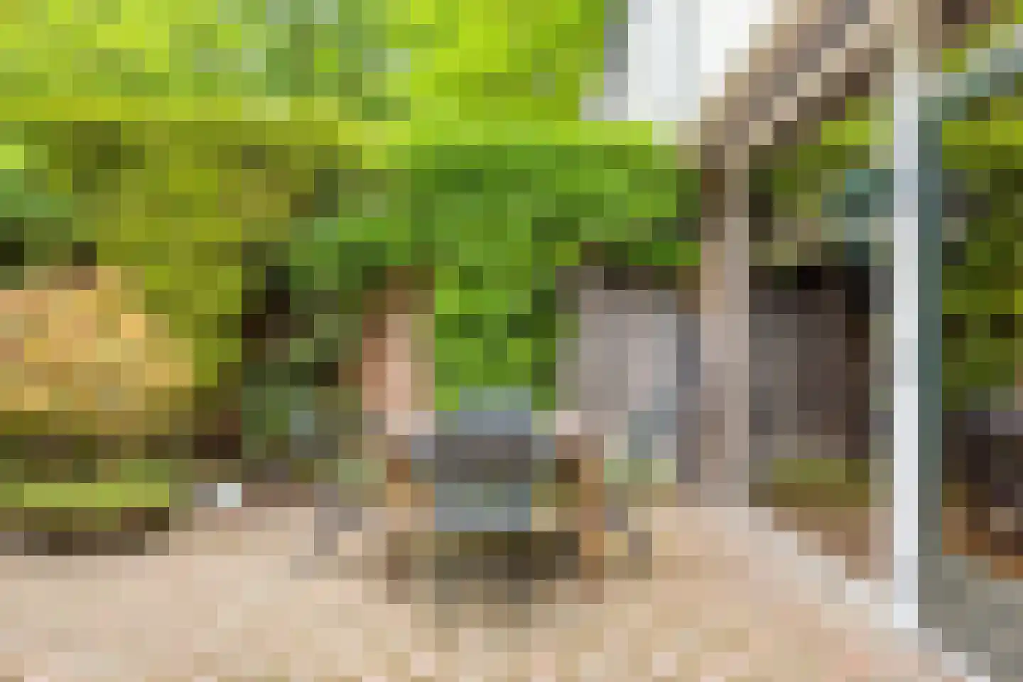 Hollandse Tuin 27 's Gravenmoer thumbnail 43