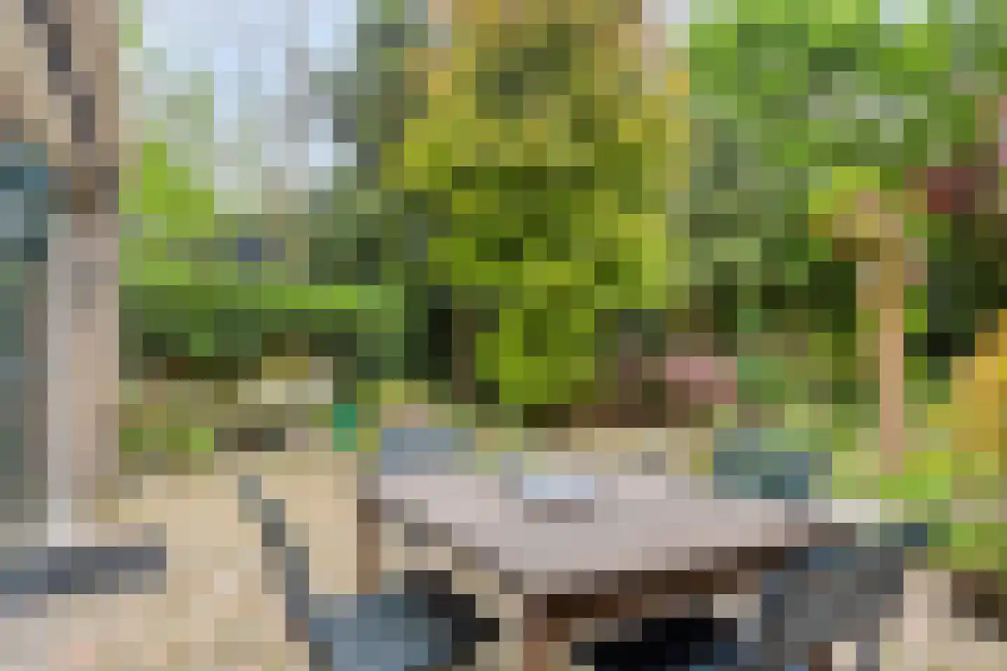 Hollandse Tuin 27 's Gravenmoer thumbnail 44