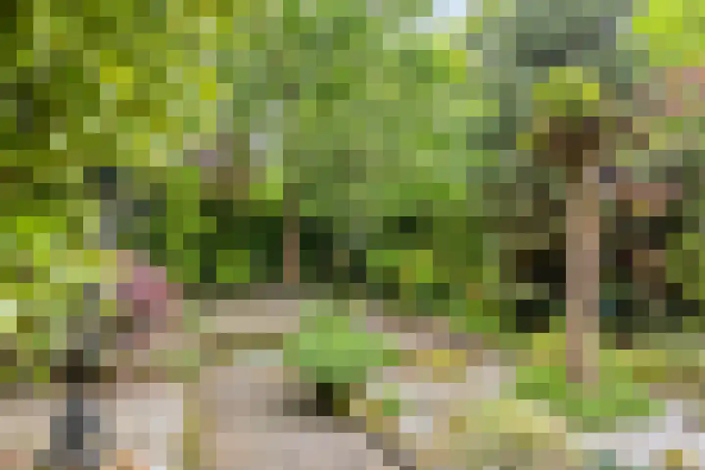 Hollandse Tuin 27 's Gravenmoer thumbnail 46