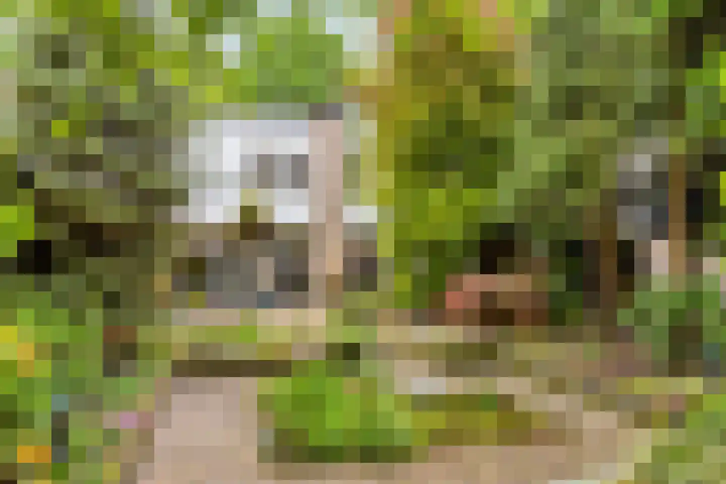 Hollandse Tuin 27 's Gravenmoer thumbnail 49