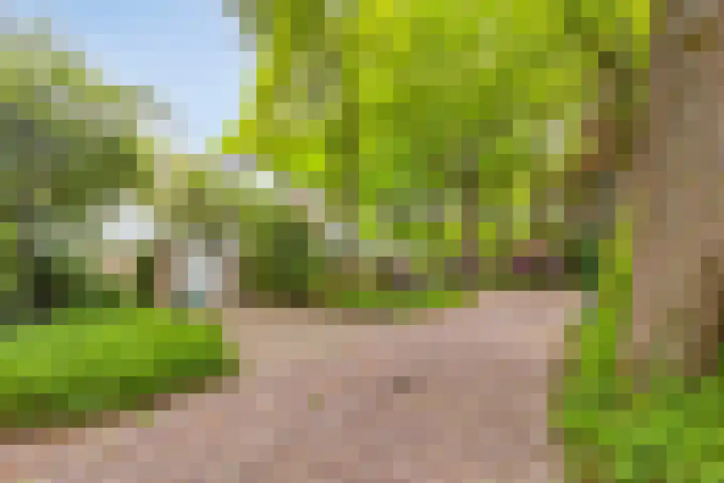 Hollandse Tuin 27 's Gravenmoer thumbnail 51