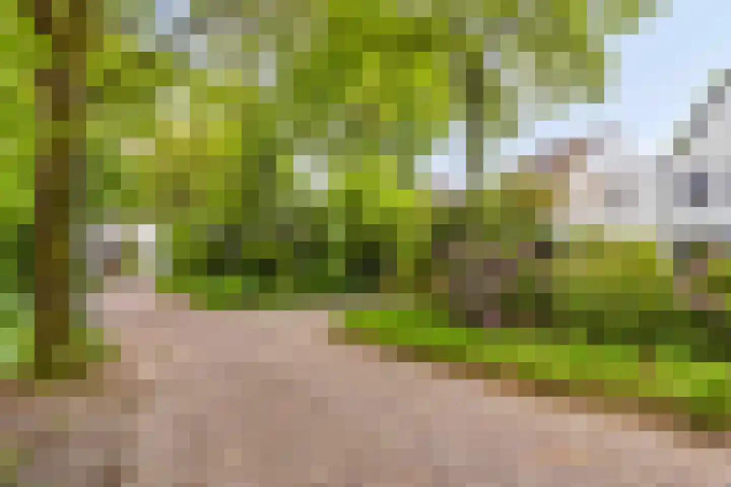 Hollandse Tuin 27 's Gravenmoer thumbnail 52