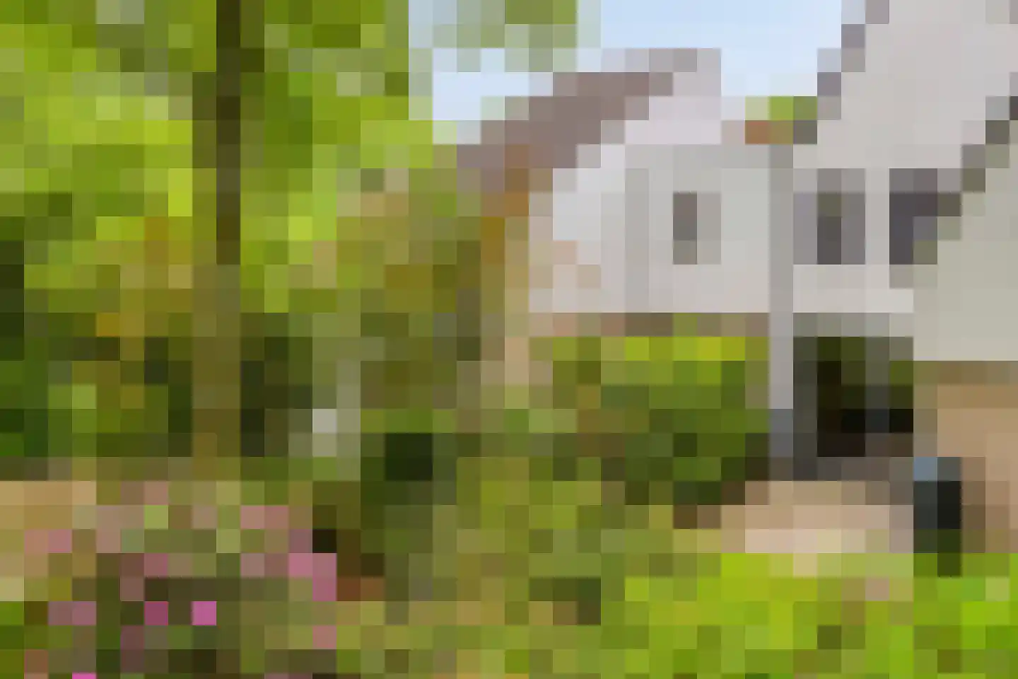 Hollandse Tuin 27 's Gravenmoer thumbnail 9