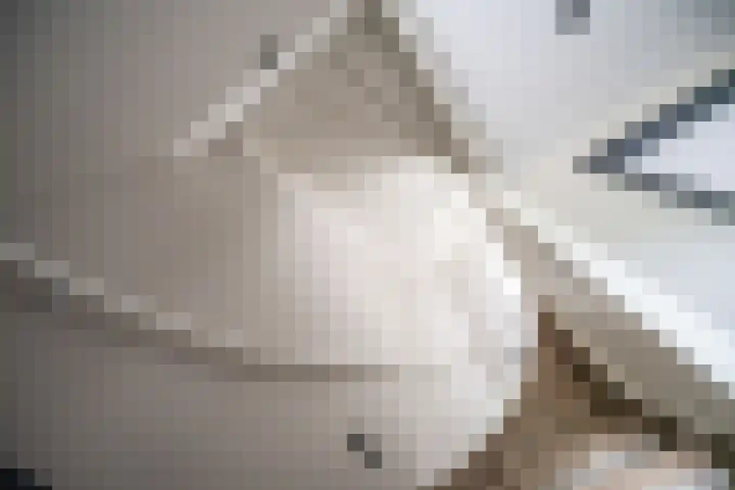 Hollandse Tuin 3 Oegstgeest thumbnail 35