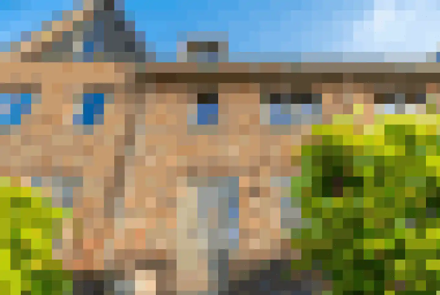 Hollandse Tuin 3 Oegstgeest thumbnail 61