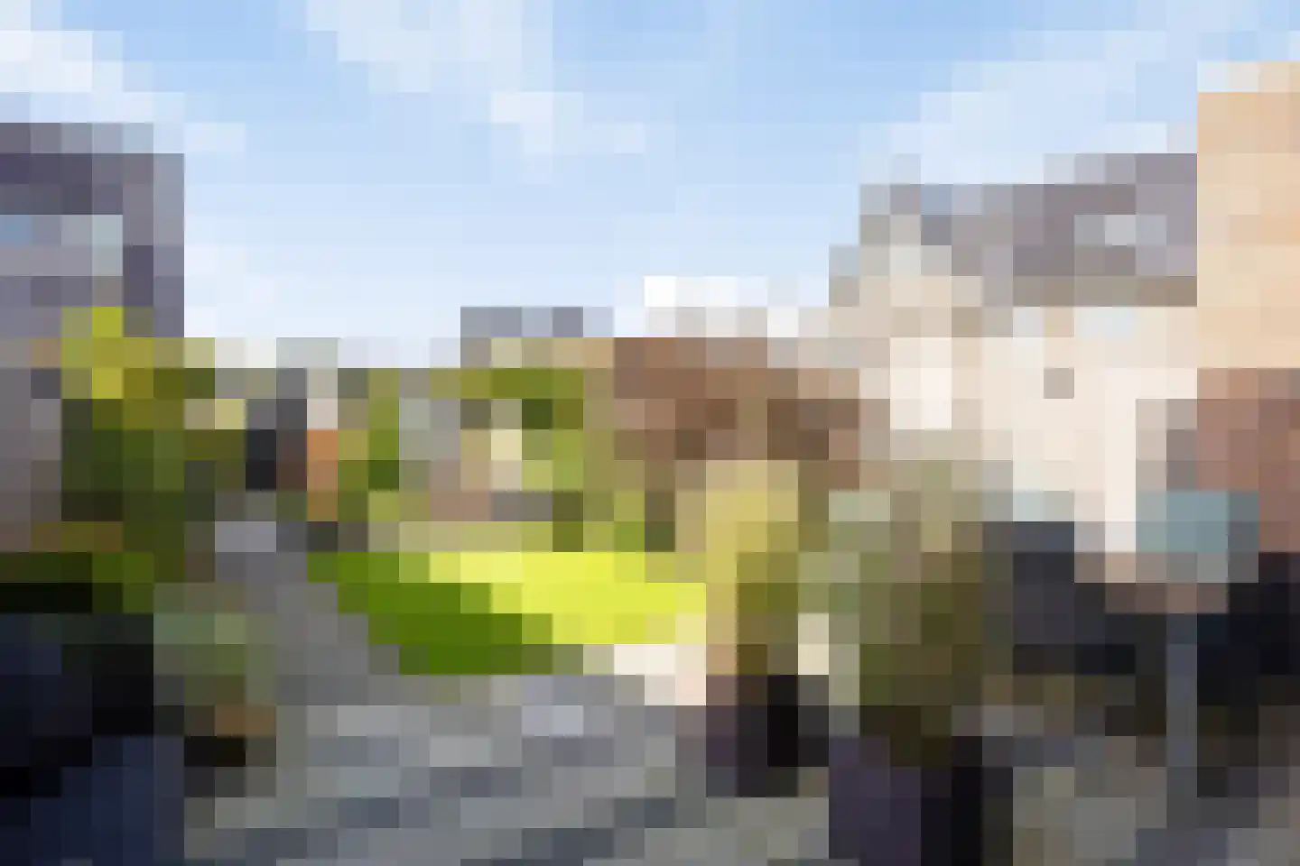 Hollandse Tuin 5 Oegstgeest thumbnail 13