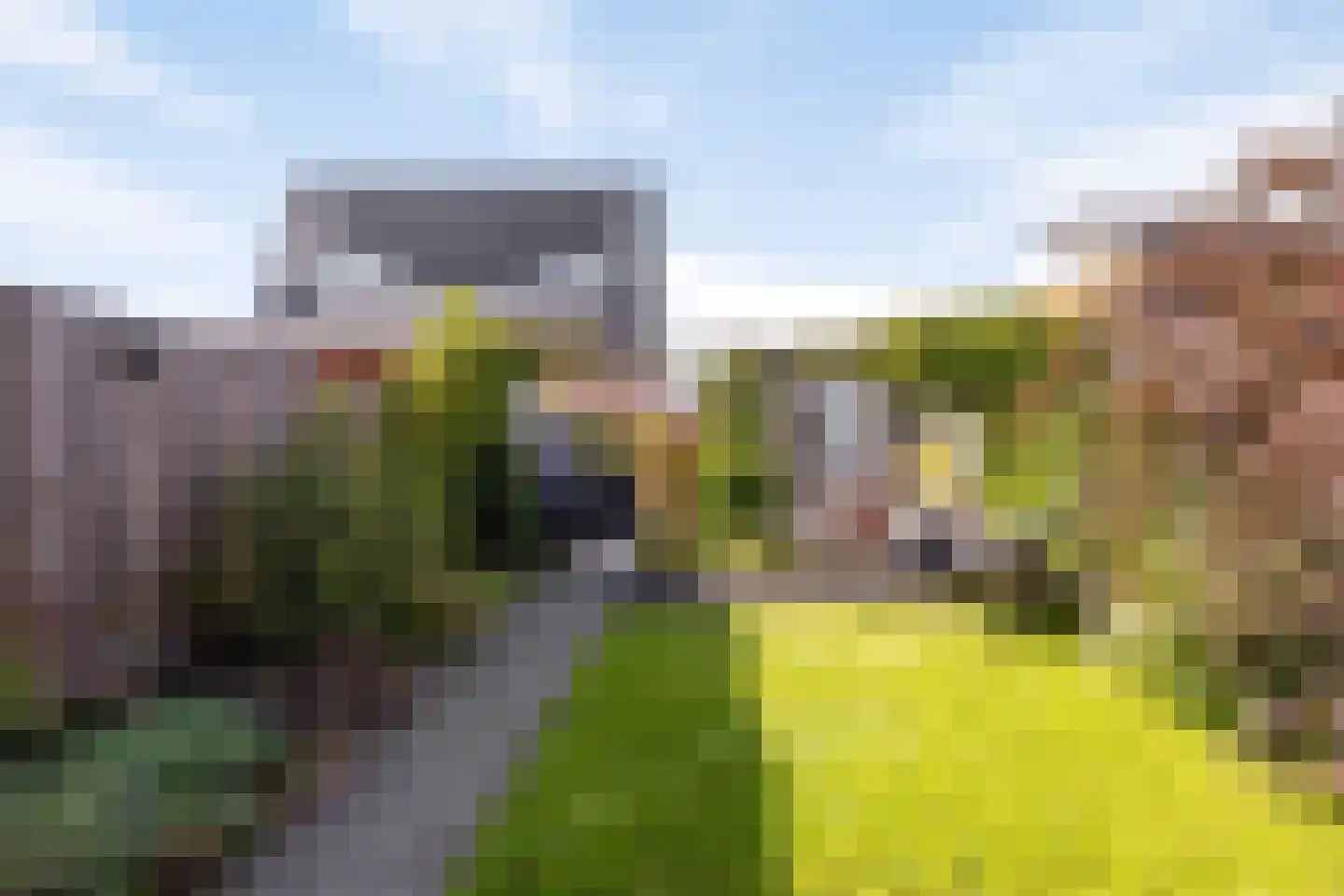 Hollandse Tuin 5 Oegstgeest thumbnail 14