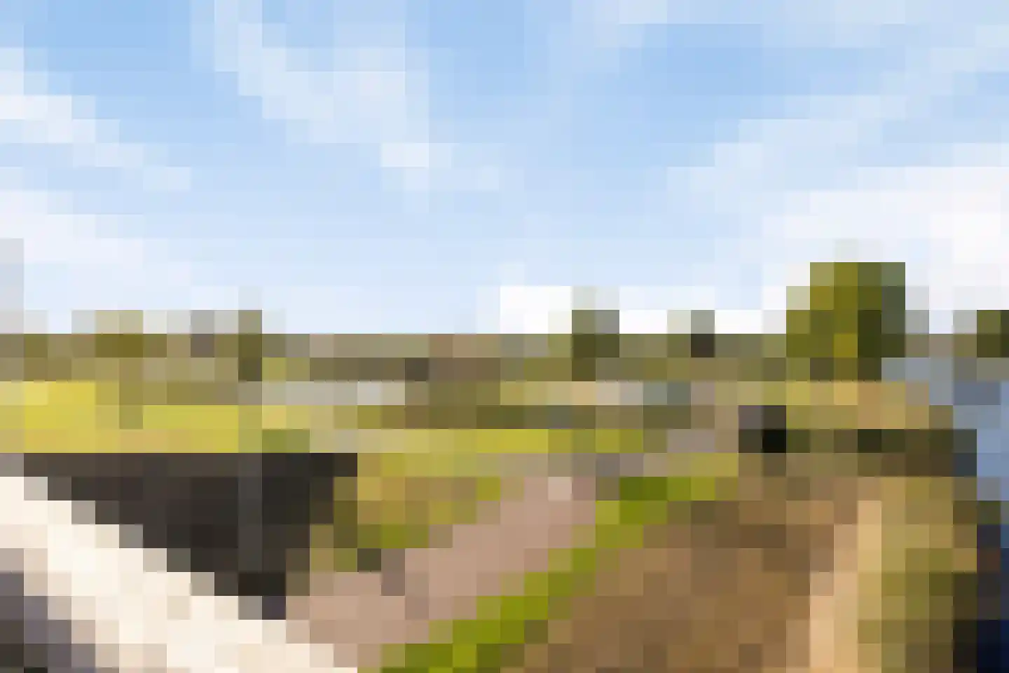 Hollandse Tuin 5 Oegstgeest thumbnail 46