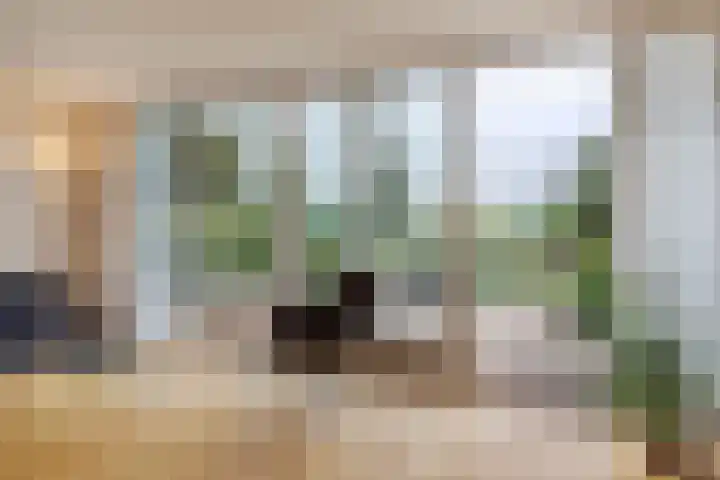 Hollandse Tuin 7 's Gravenmoer thumbnail 12