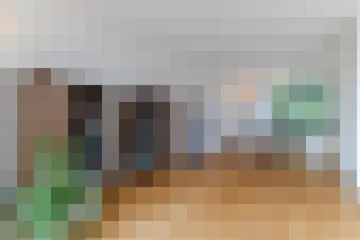 Hollandse Tuin 7 's Gravenmoer thumbnail 13