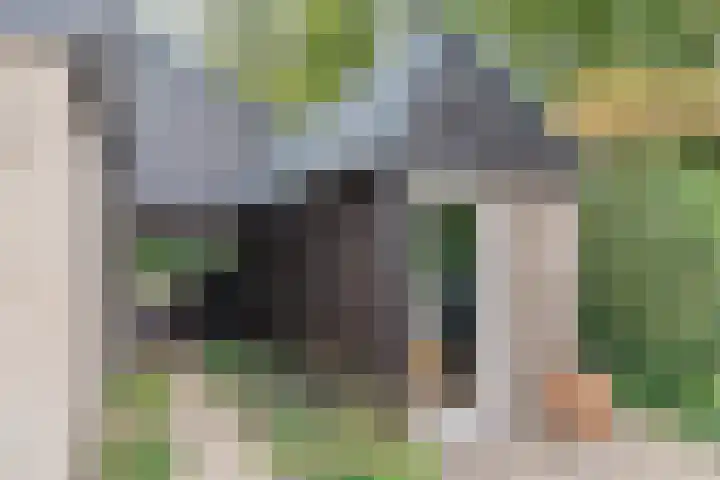 Hollandse Tuin 7 's Gravenmoer thumbnail 16