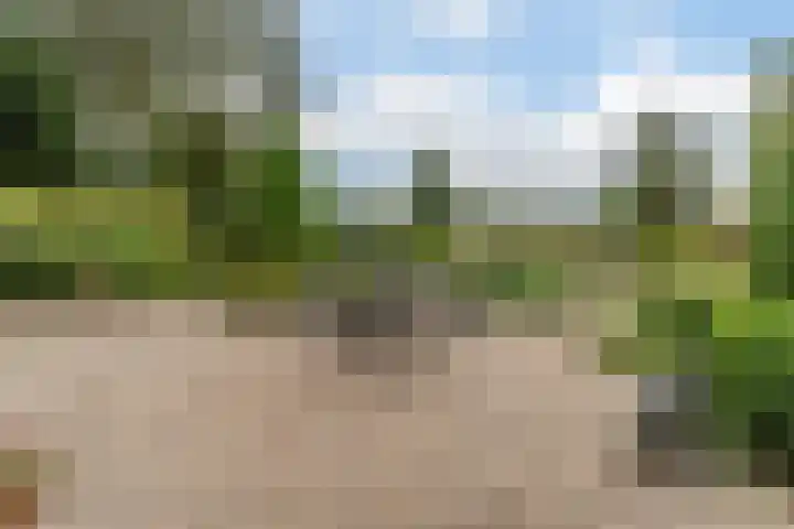 Hollandse Tuin 7 's Gravenmoer thumbnail 18