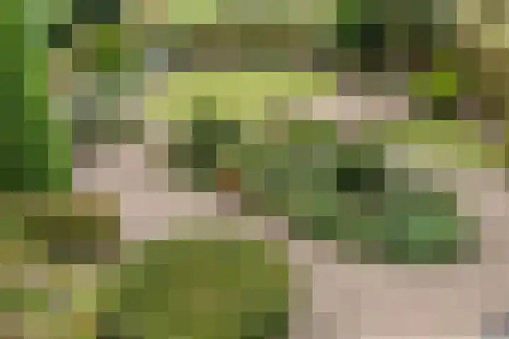 Hollandse Tuin 7 's Gravenmoer thumbnail 20