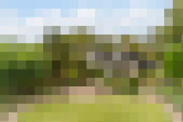 Hollandse Tuin 7 's Gravenmoer thumbnail 23