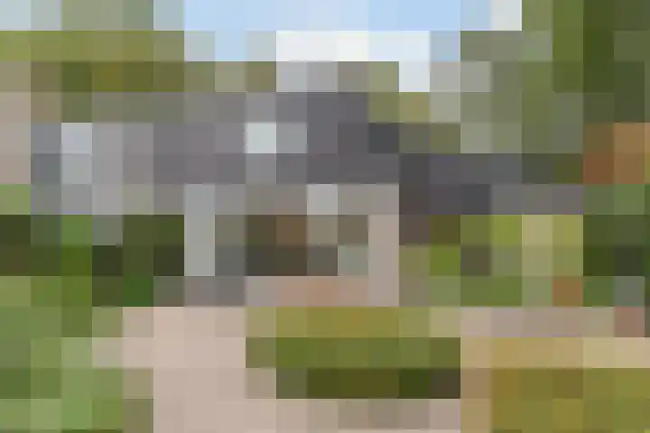 Hollandse Tuin 7 's Gravenmoer thumbnail 27