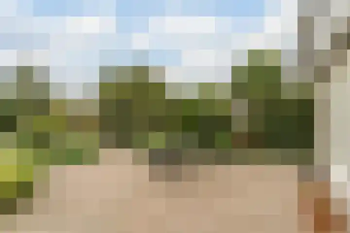 Hollandse Tuin 7 's Gravenmoer thumbnail 28