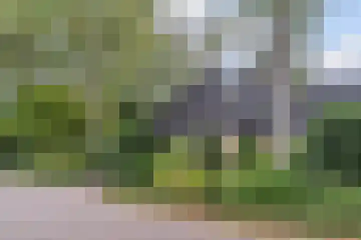 Hollandse Tuin 7 's Gravenmoer thumbnail 29