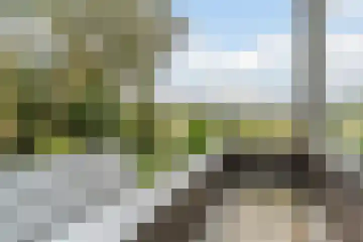 Hollandse Tuin 7 's Gravenmoer thumbnail 36