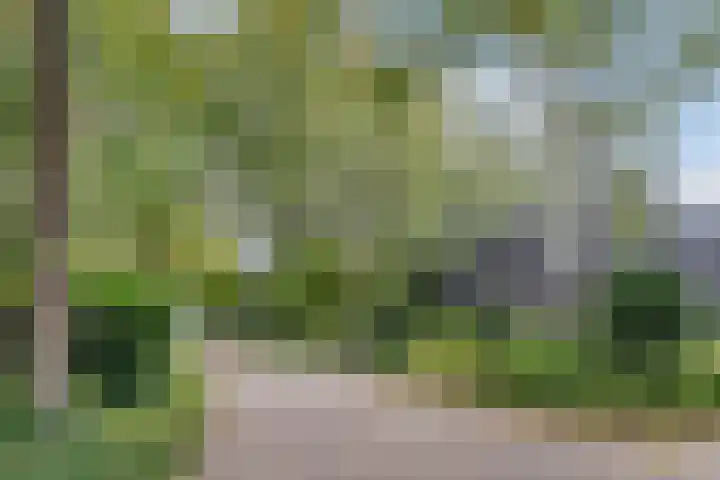 Hollandse Tuin 7 's Gravenmoer thumbnail 48