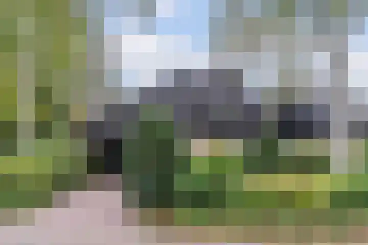 Hollandse Tuin 7 's Gravenmoer thumbnail 52
