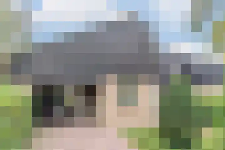 Hollandse Tuin 7 's Gravenmoer thumbnail 53