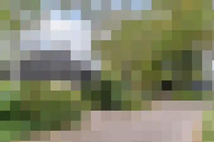 Hollandse Tuin 7 's Gravenmoer thumbnail 54