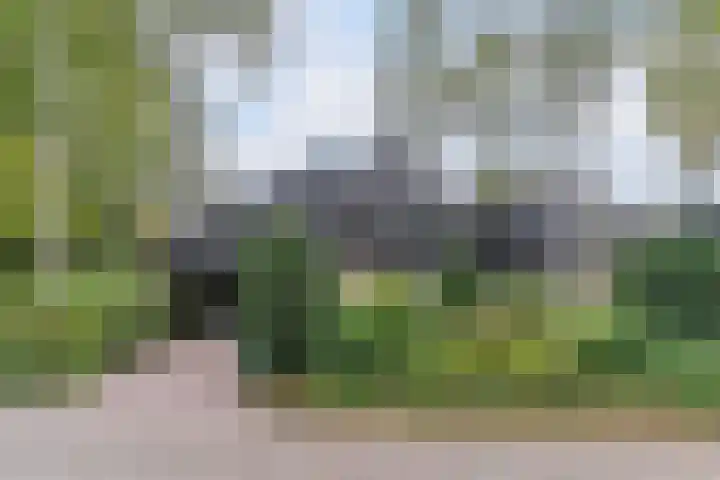 Hollandse Tuin 7 's Gravenmoer thumbnail 55