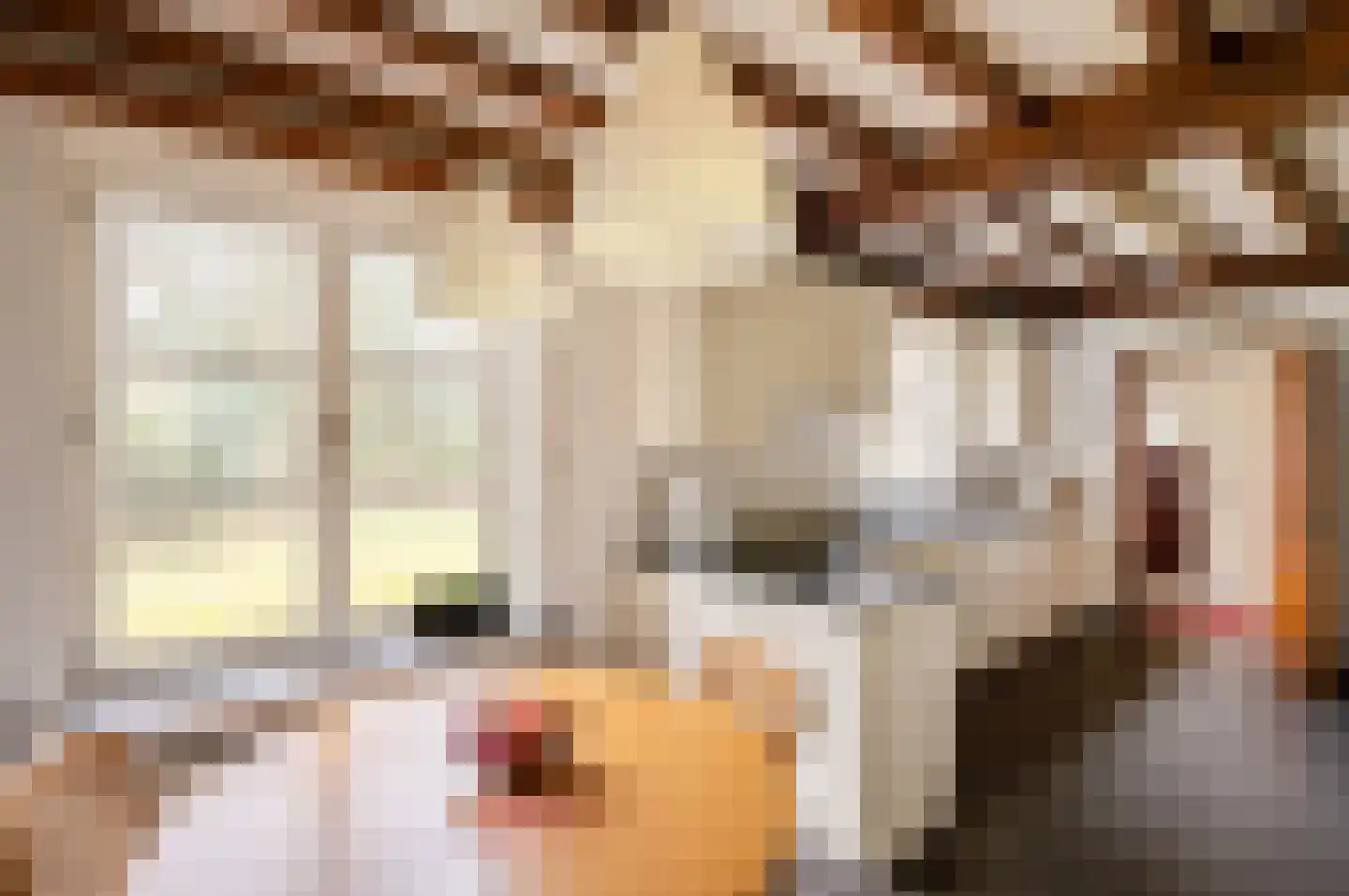 Hollandsedreef 8 Wouwse Plantage thumbnail 27